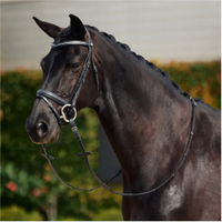 Coussiné Confort Couronne Cristal Flash Bridle